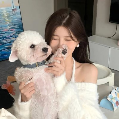 钱在囧途